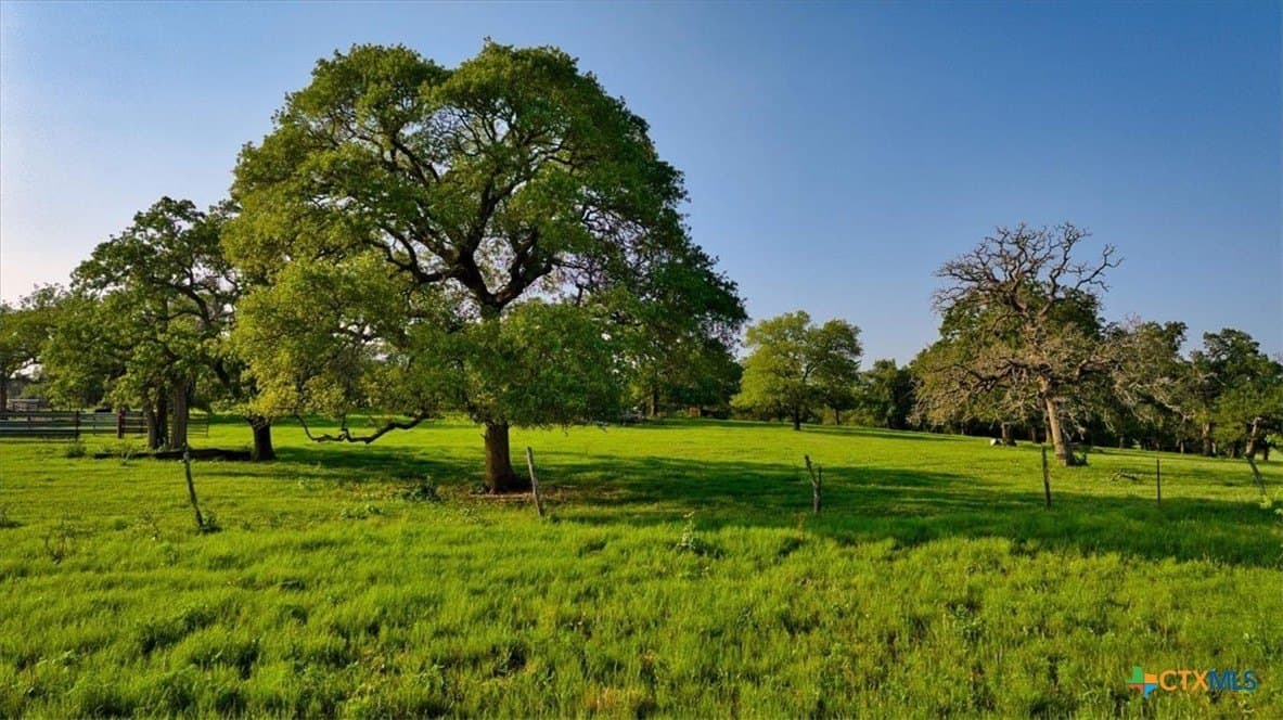 175.72 acres in Williamson County - photo 19