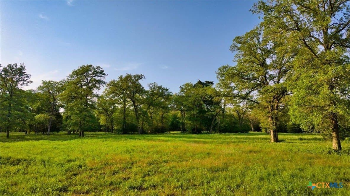 175.72 acres in Williamson County - photo 33
