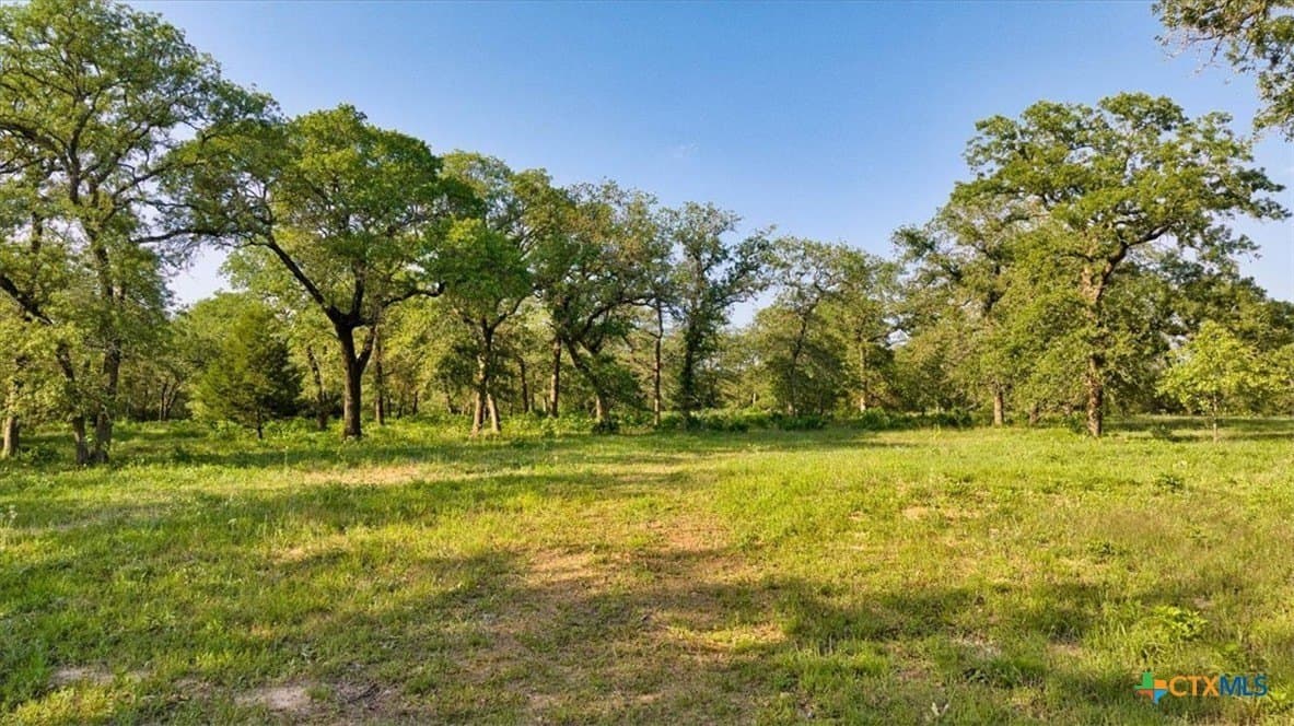 175.72 acres in Williamson County - photo 16