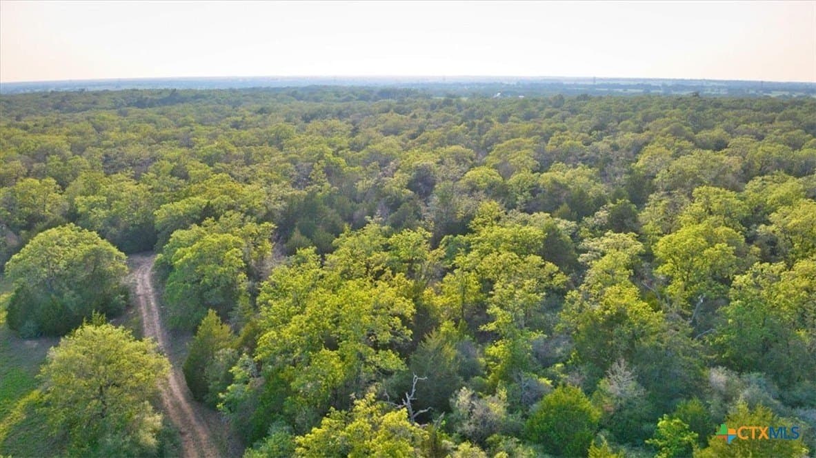 175.72 acres in Williamson County - photo 35
