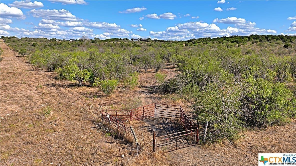 82.31 acres in Hays County featured view