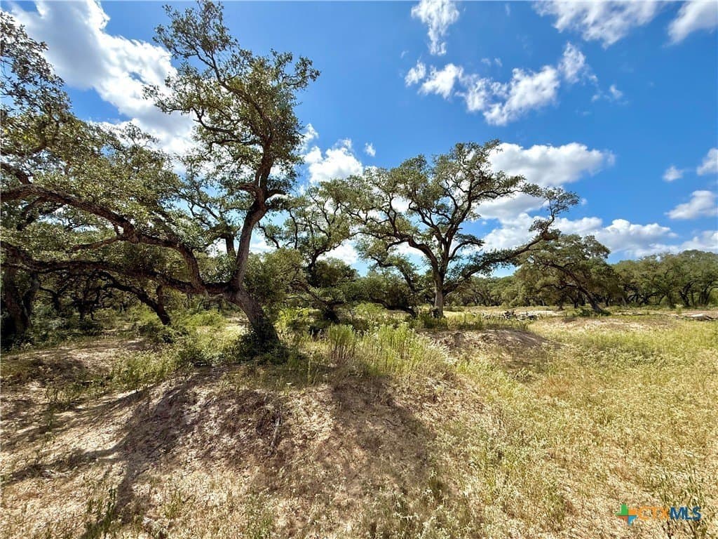 45 acres in Victoria County - photo 20