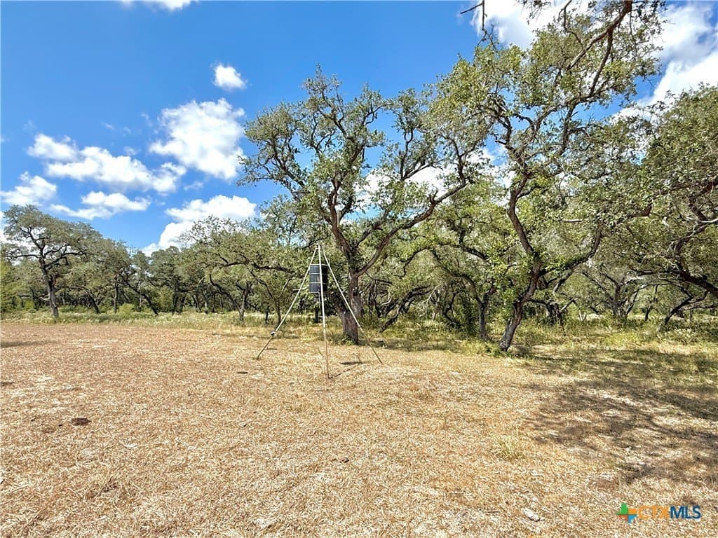 45 acres in Victoria County - photo 22