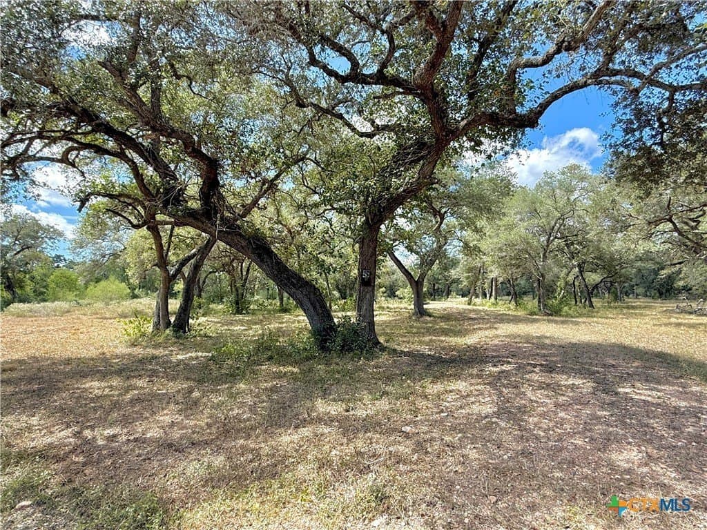 45 acres in Victoria County - photo 24
