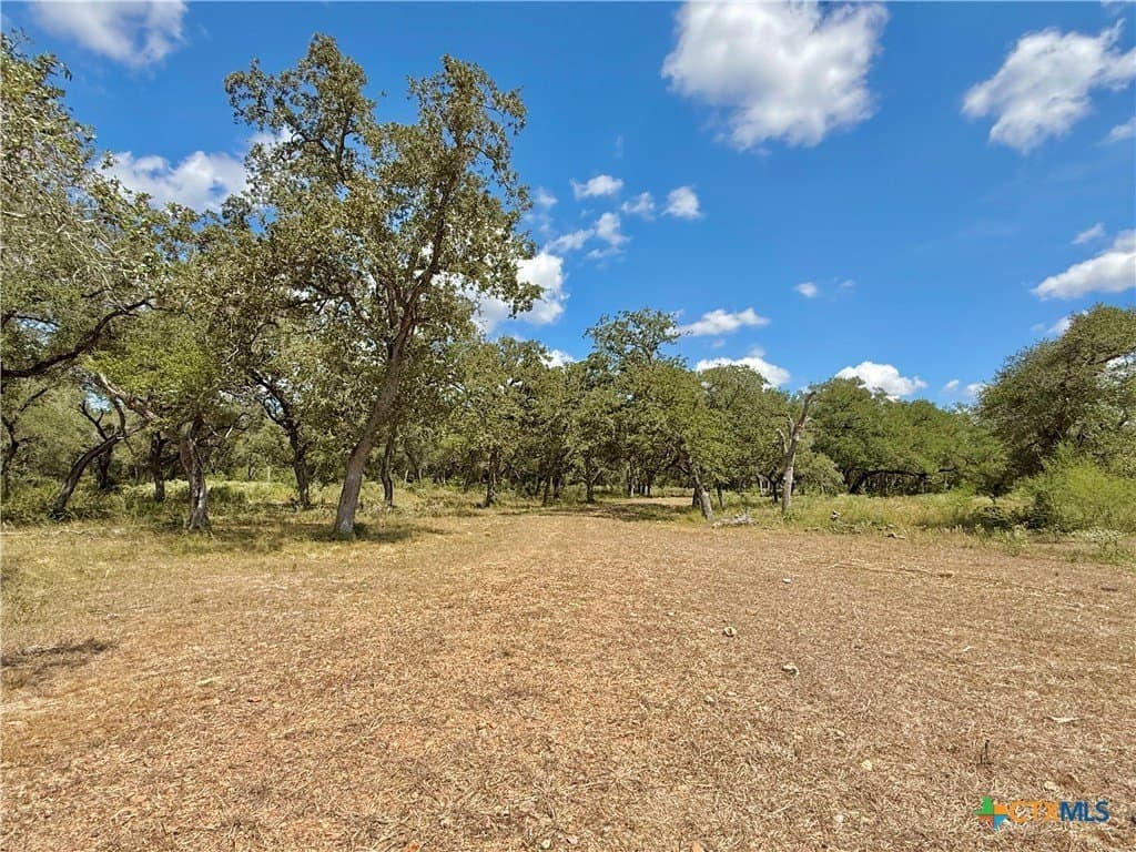 45 acres in Victoria County - photo 23