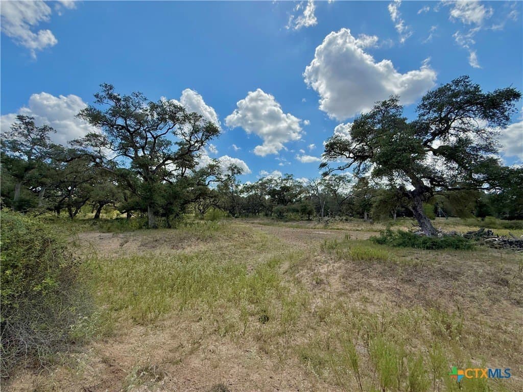 45 acres in Victoria County - photo 9