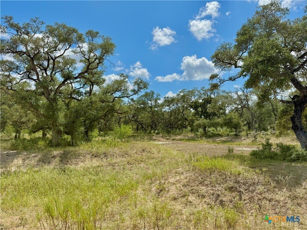 45 acres in Victoria County - photo 16
