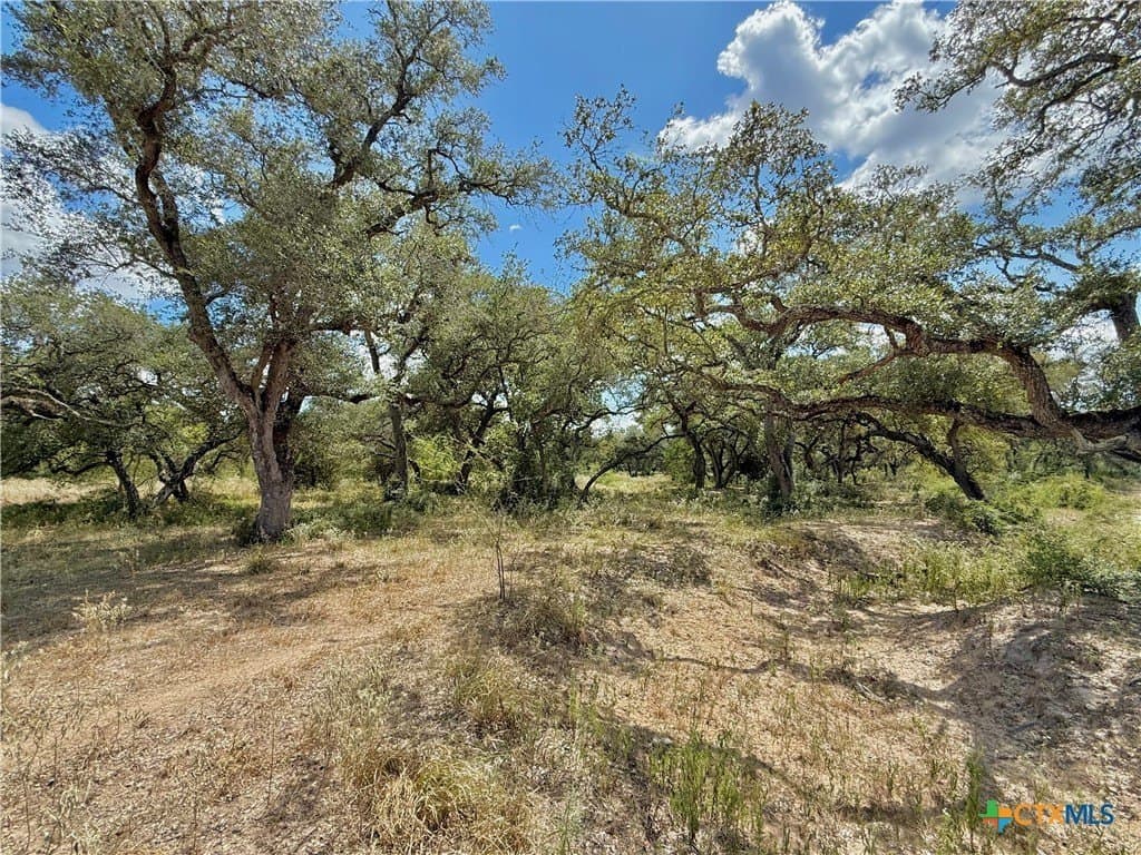 45 acres in Victoria County - photo 18