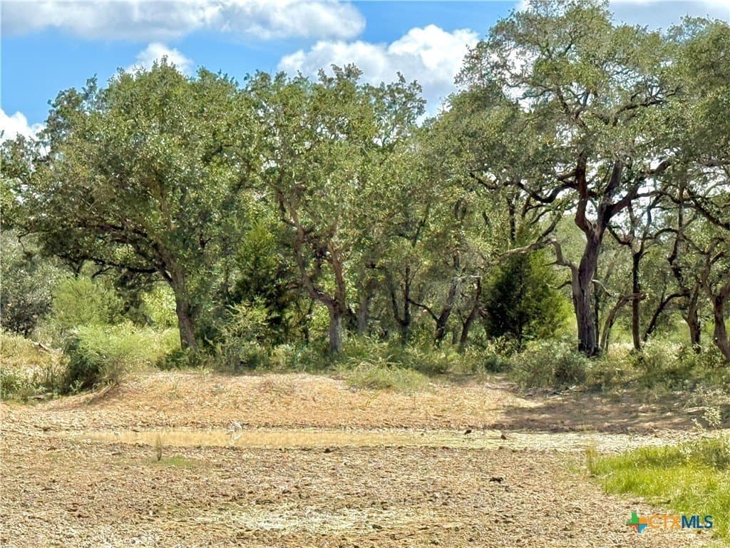 45 acres in Victoria County - photo 13