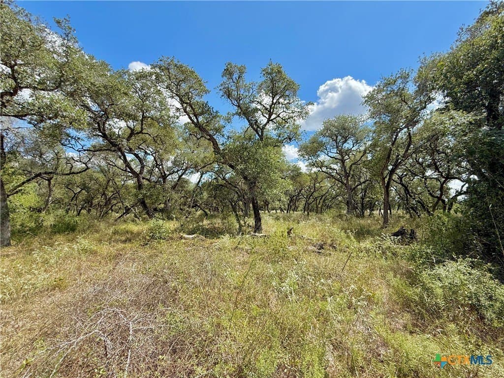 45 acres in Victoria County - photo 11