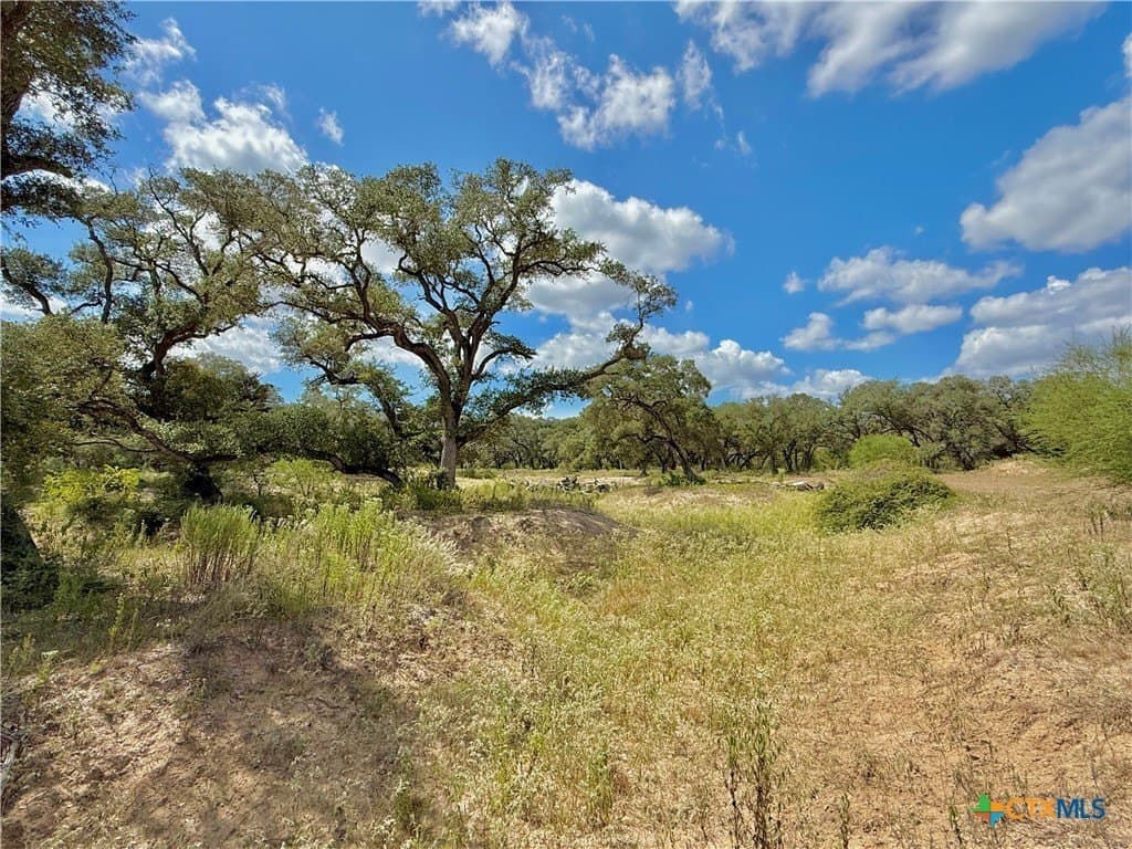 45 acres in Victoria County - photo 19