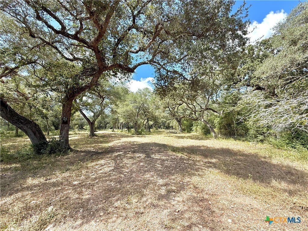45 acres in Victoria County - photo 4