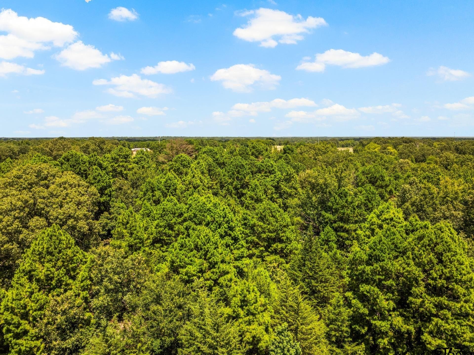 107 acres in Titus County - photo 7