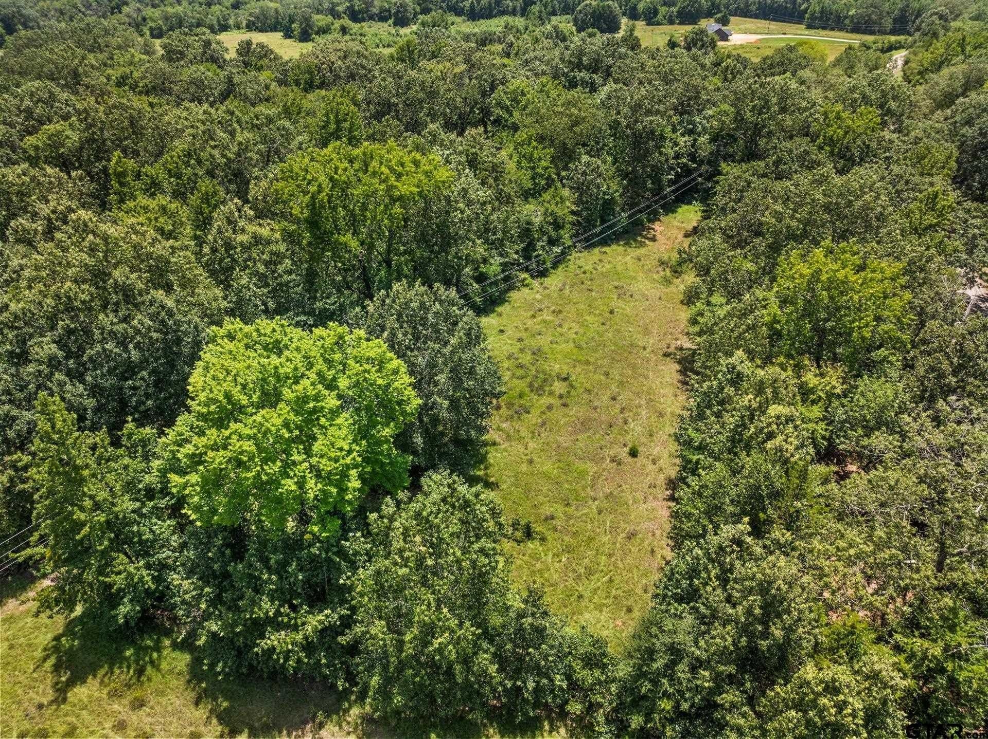107 acres in Titus County - photo 15