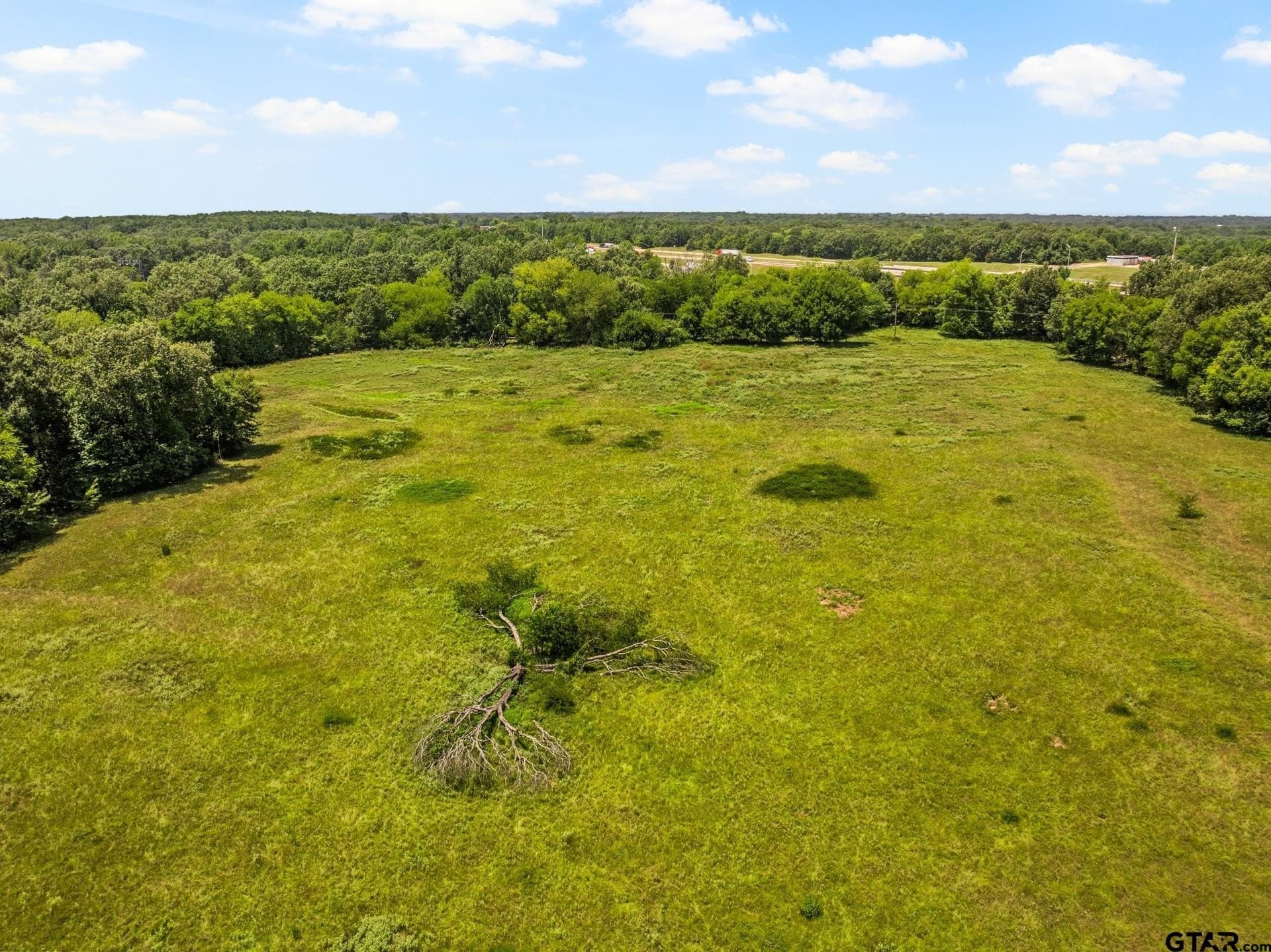 107 acres in Titus County - photo 14