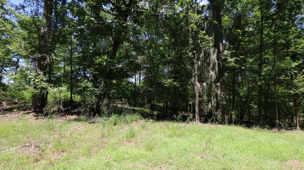 0.34 acres in Texas County featured view