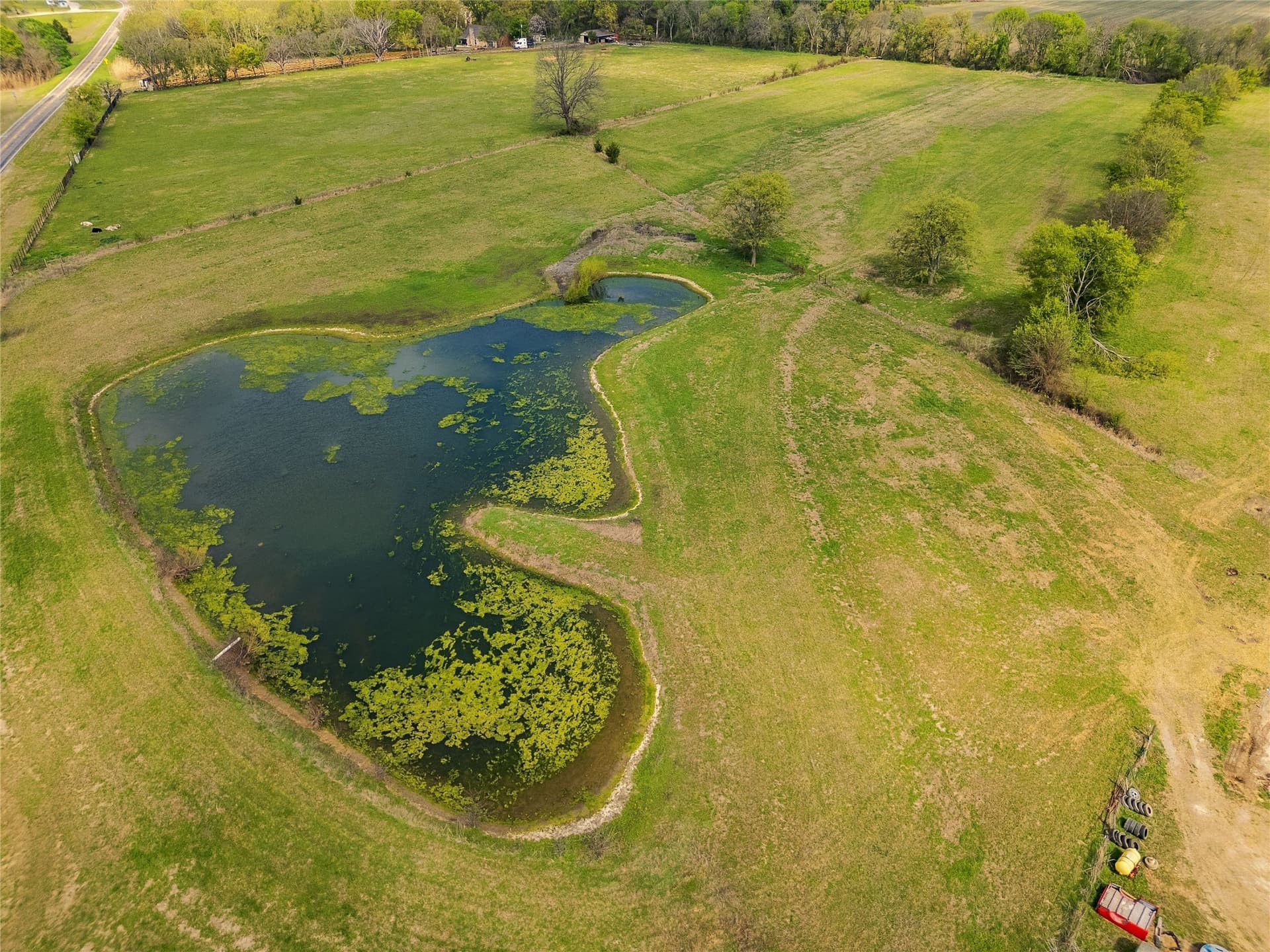 62.4 acres in Grayson County - photo 27