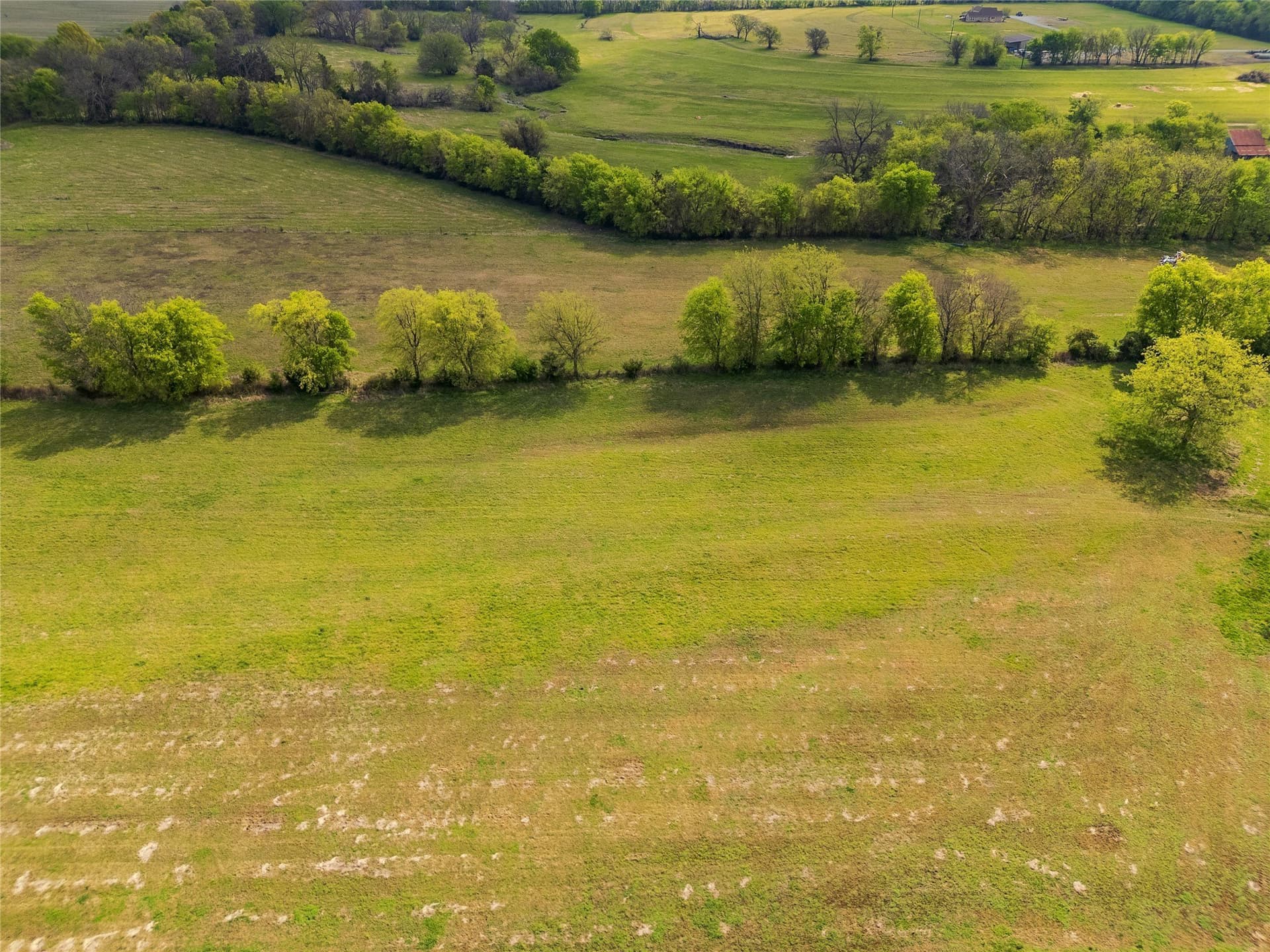 62.4 acres in Grayson County - photo 29