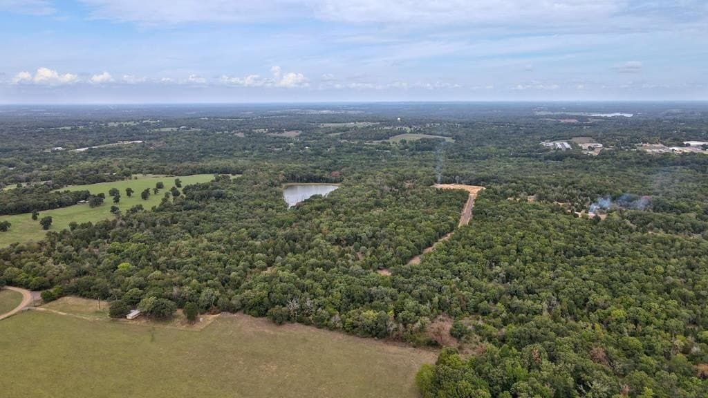 36.97 acres in Henderson County gallery image 2