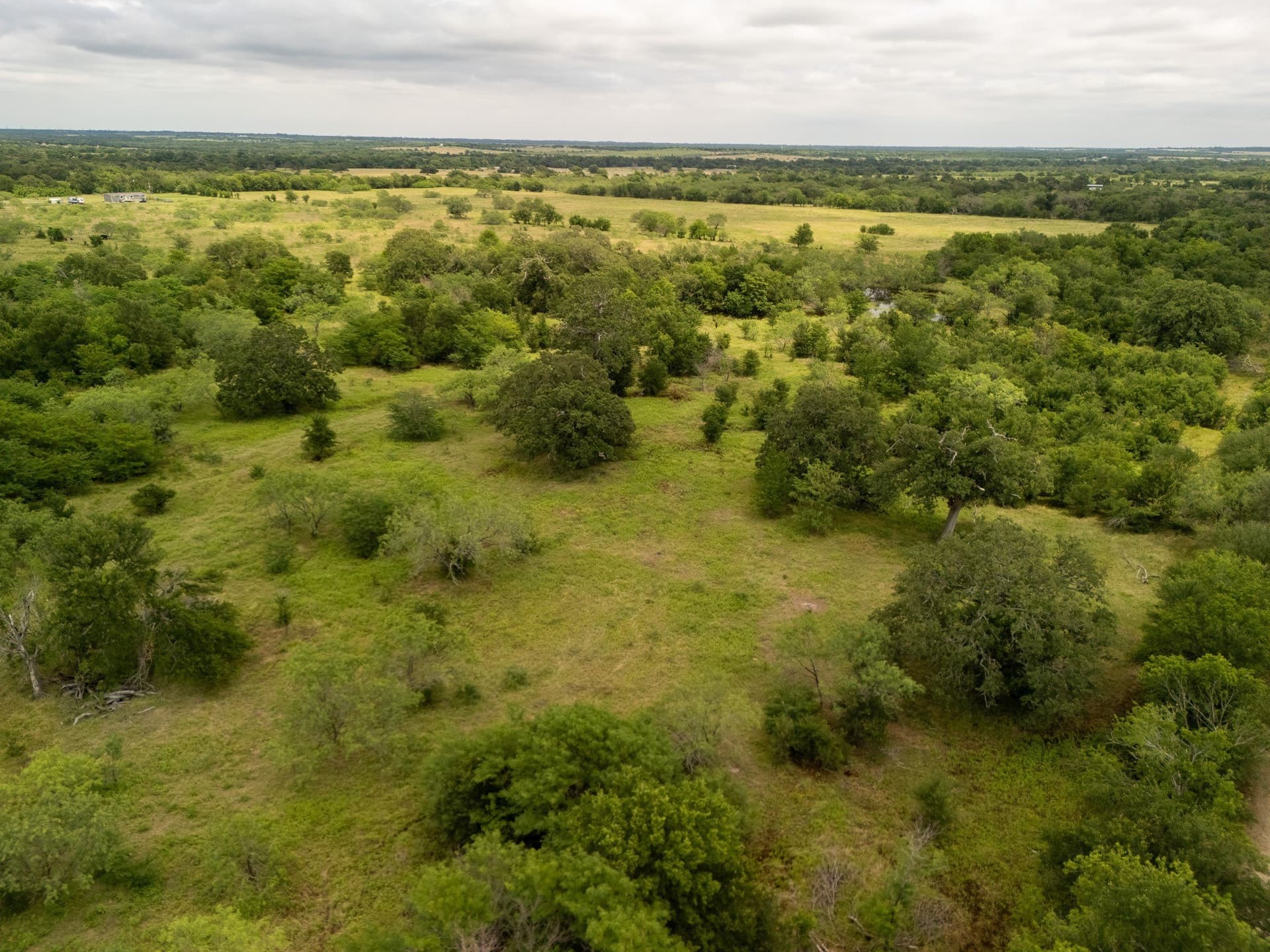 10.01 acres in Falls County - photo 13