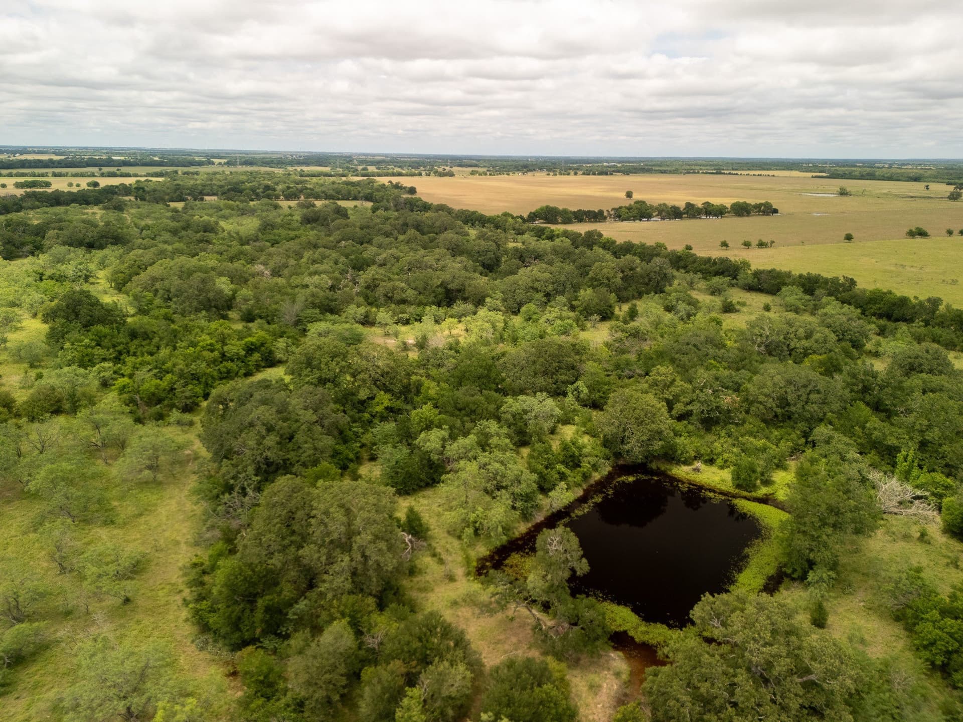 10.01 acres in Falls County - photo 10