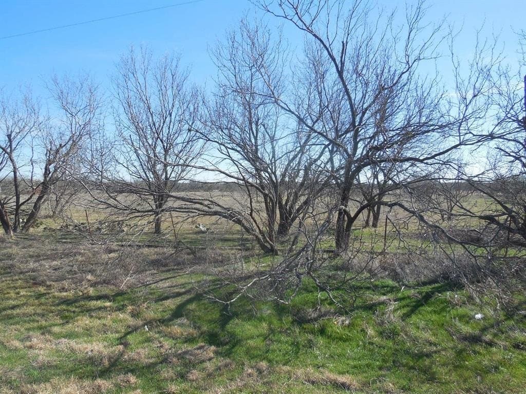 48.12 acres in Eastland County gallery image 4