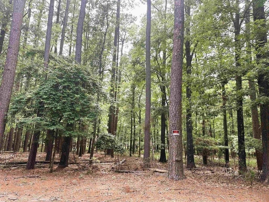 0.4 acres in Franklin (TX) County - photo 7
