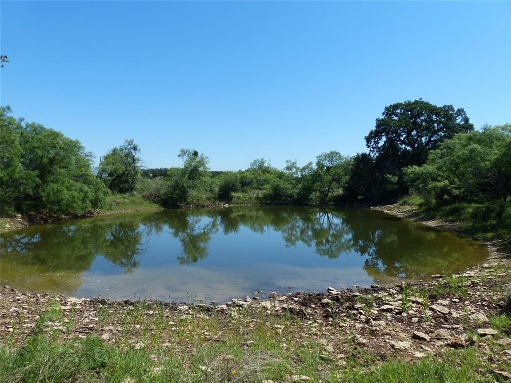319 acres in McCulloch County gallery image 3