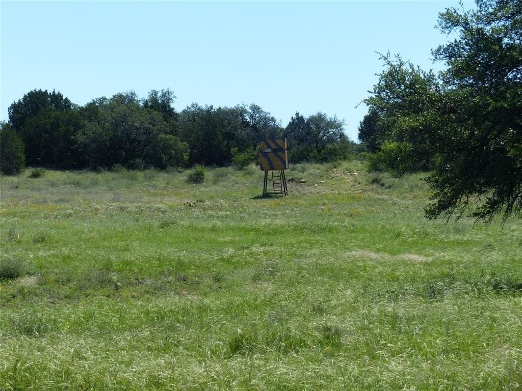 319 acres in McCulloch County gallery image 4