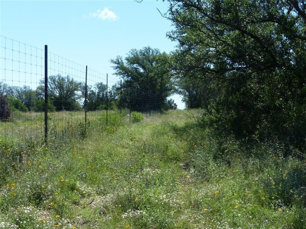 319 acres in McCulloch County featured view