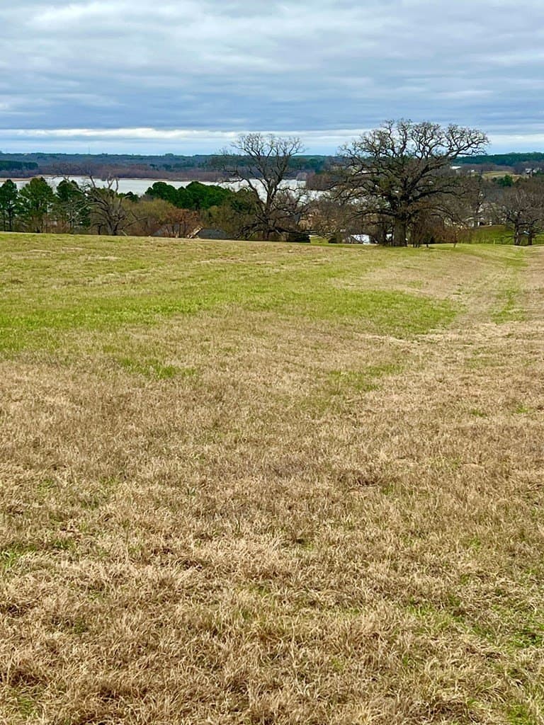 1.04 acres in Henderson County gallery image 3