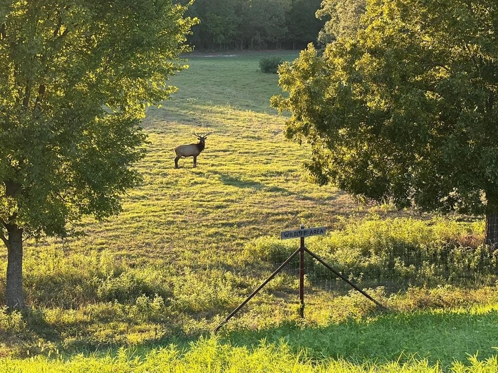1.04 acres in Henderson County - photo 8
