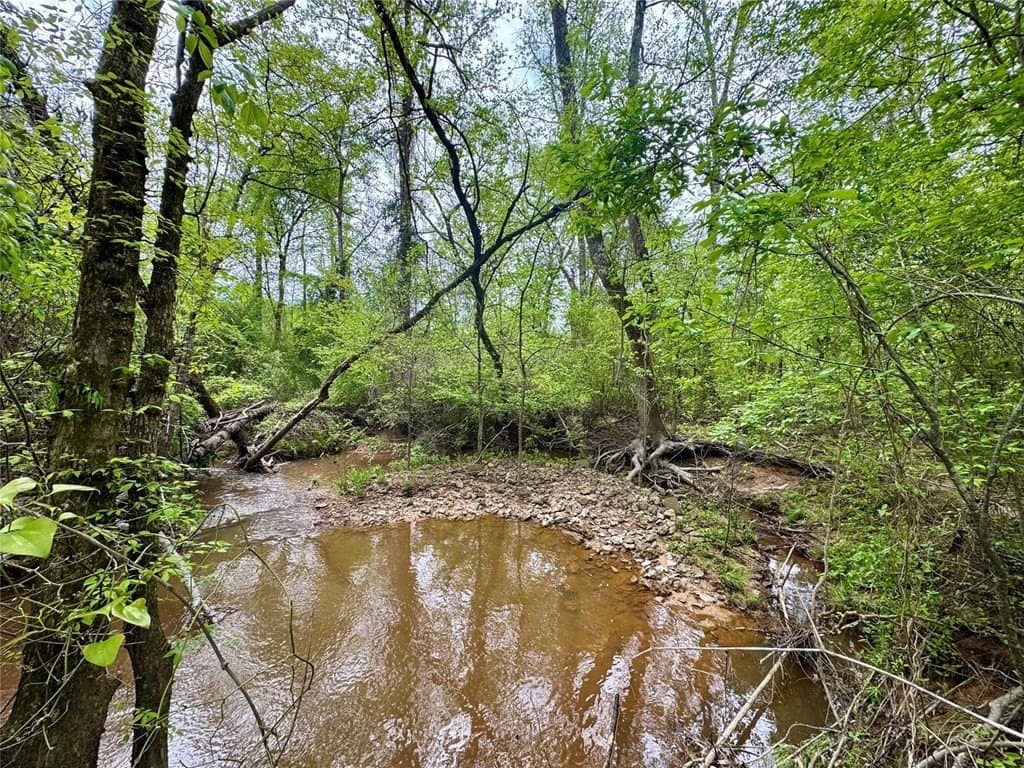 50.13 acres in Cass County featured view