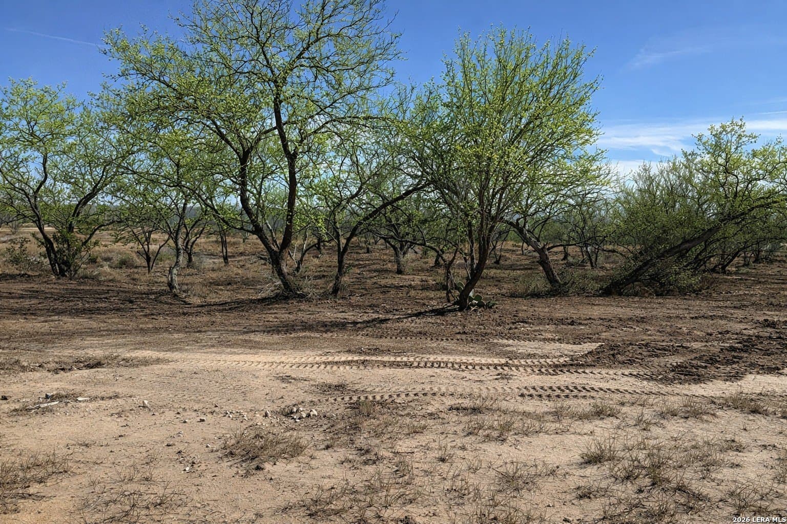 1.28 acres in Atascosa County gallery image 4