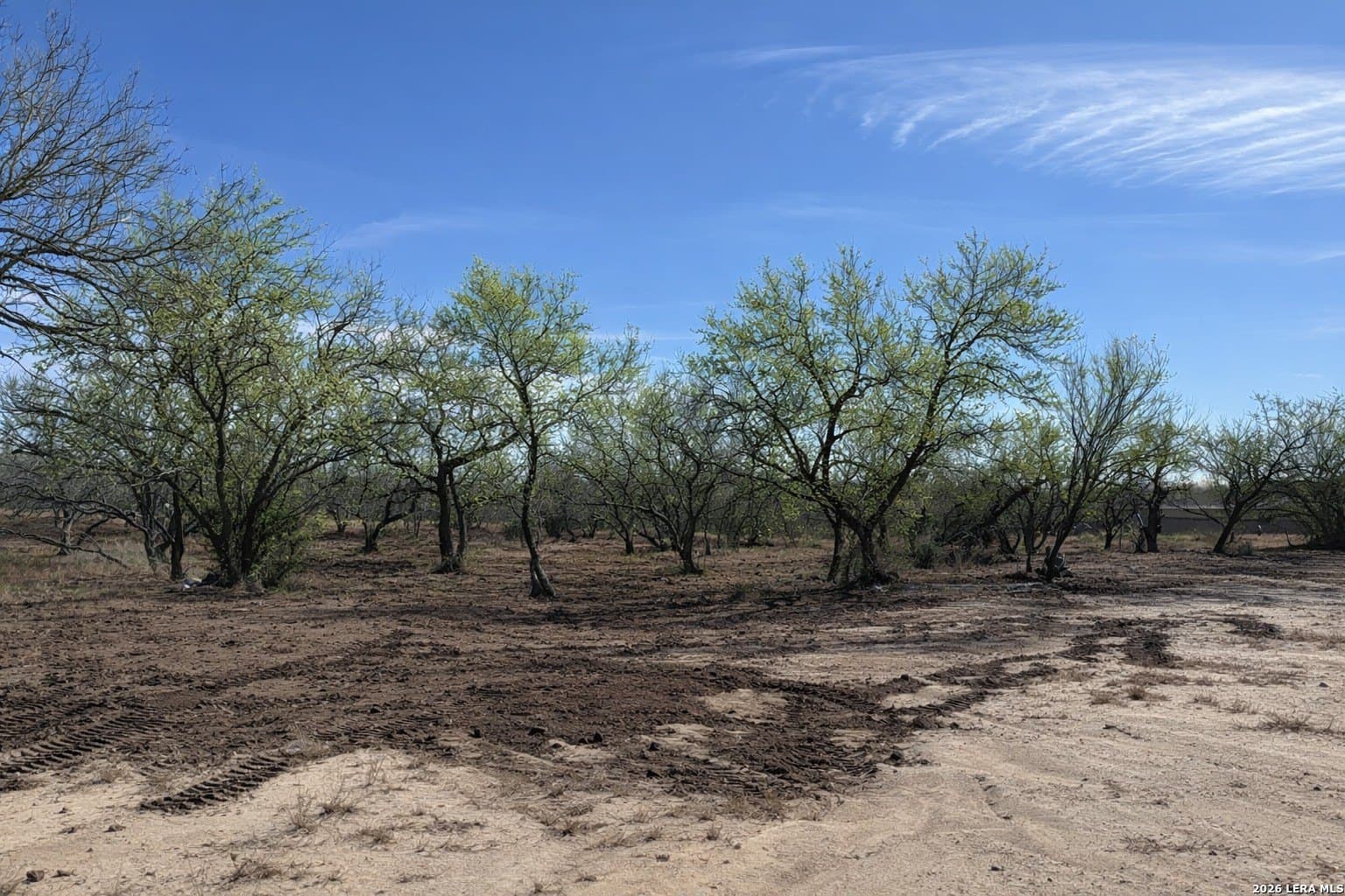 1.28 acres in Atascosa County featured view