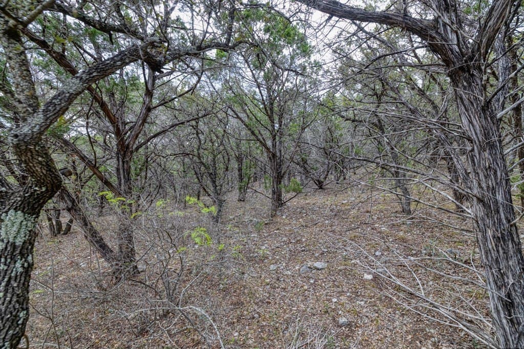 1 acres in Uvalde County - photo 6