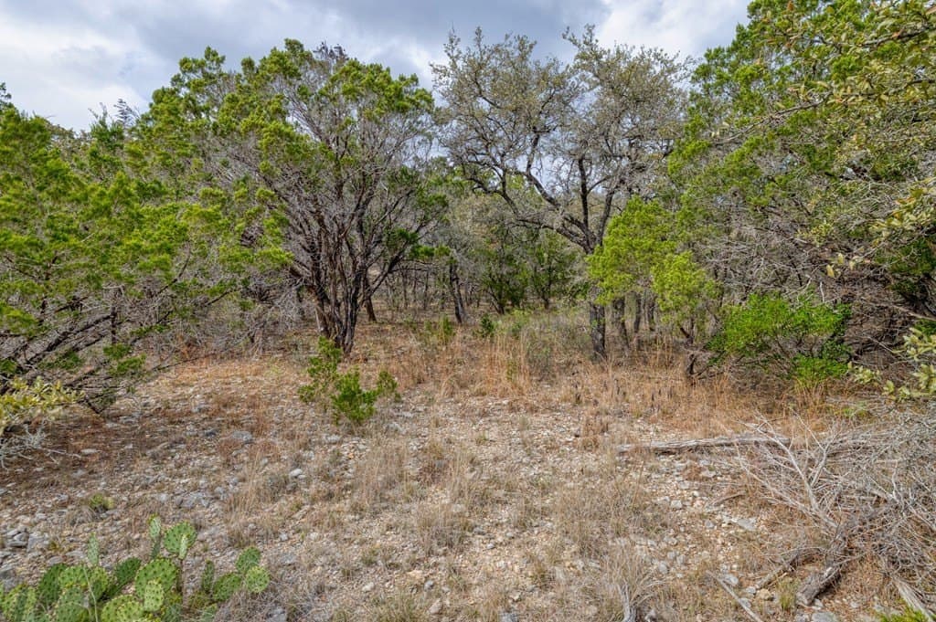 1 acres in Uvalde County gallery image 3