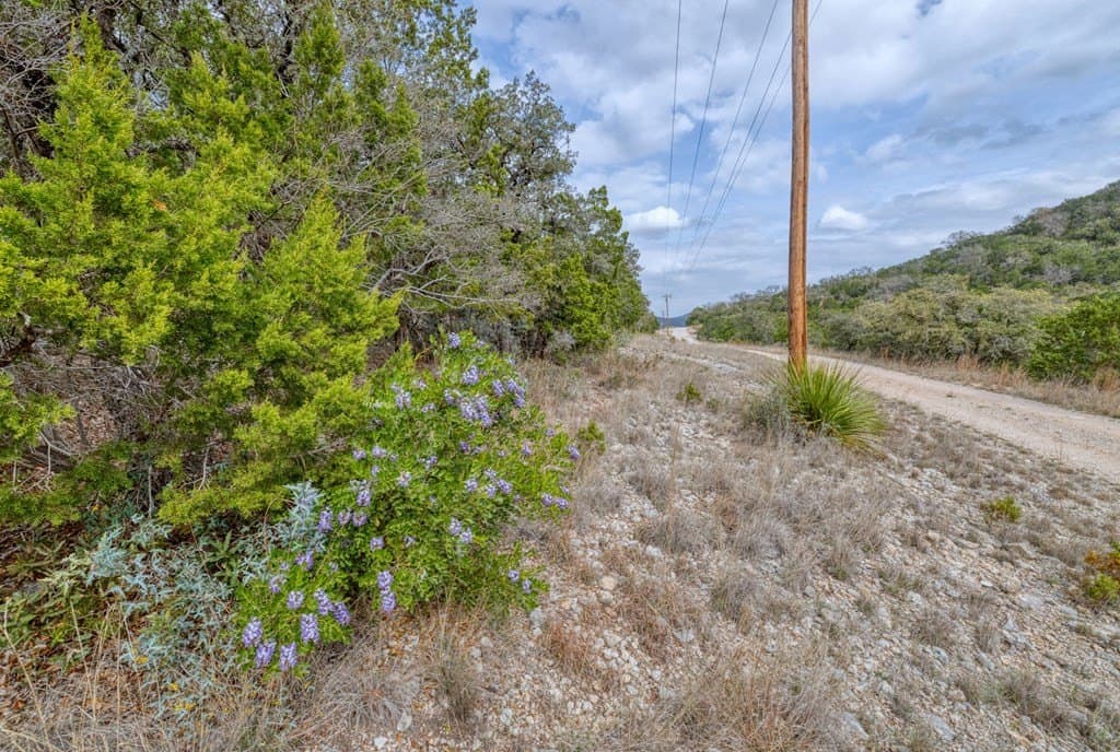 1 acres in Uvalde County gallery image 2