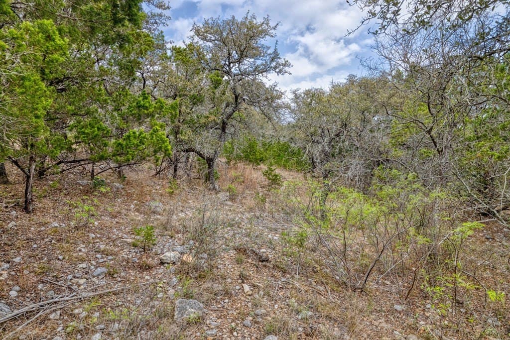 1 acres in Uvalde County featured view