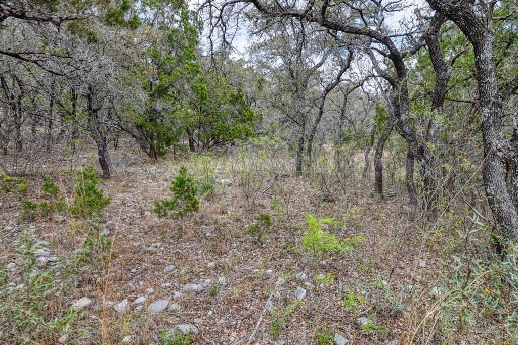 1 acres in Uvalde County gallery image 4