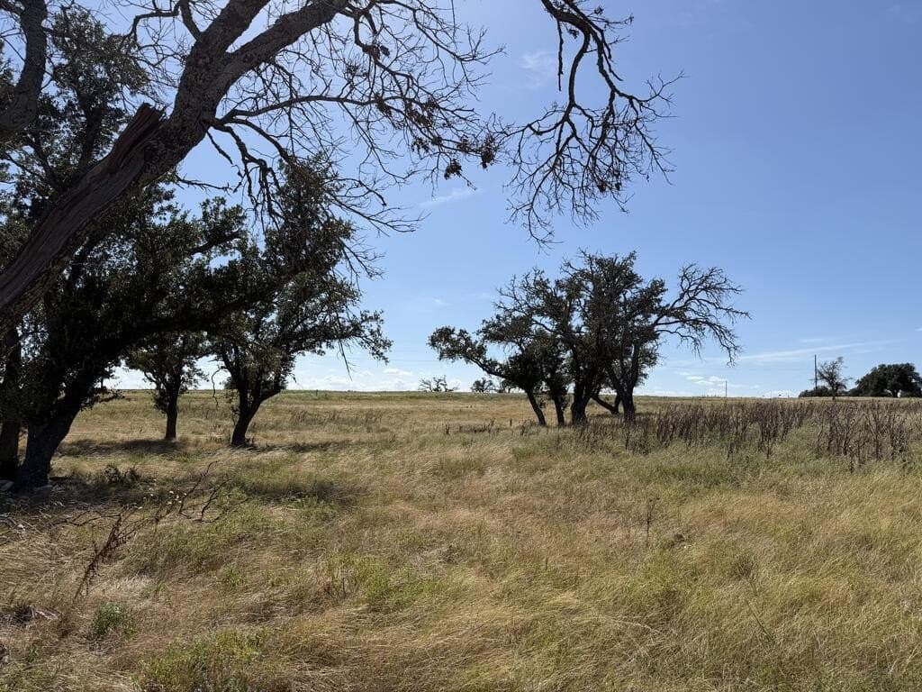 3.93 acres in Gillespie County - photo 7