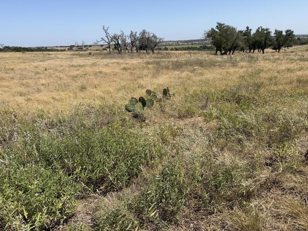 3.93 acres in Gillespie County - photo 9