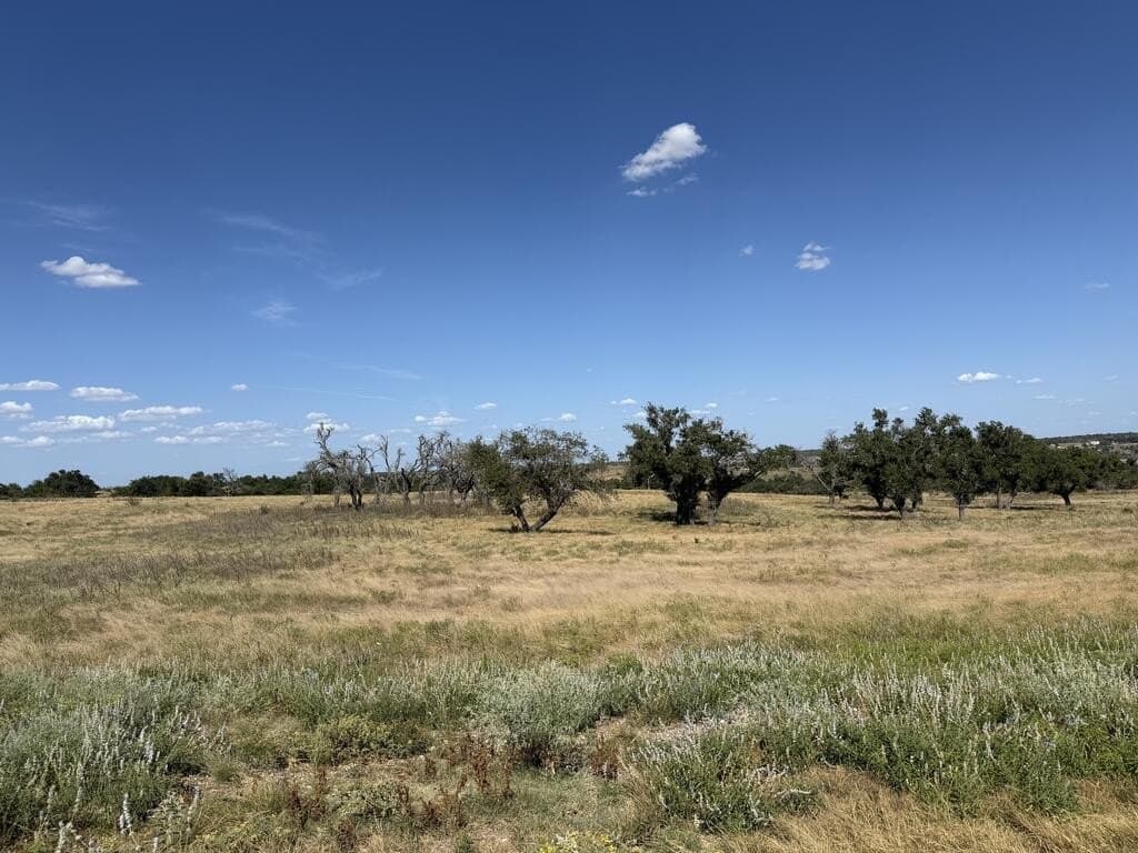 3.93 acres in Gillespie County - photo 6