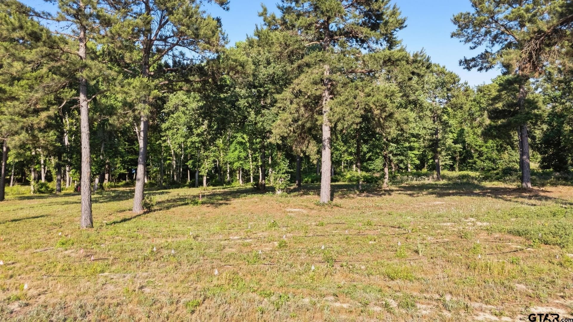 1.3 acres in Henderson County - photo 5