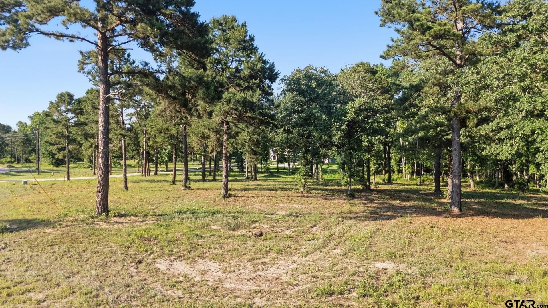 1.3 acres in Henderson County - photo 4