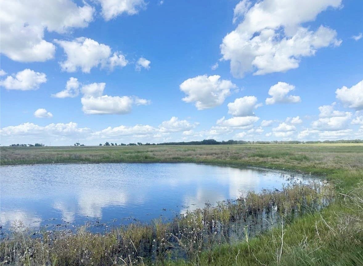20.02 acres in Mills County featured view