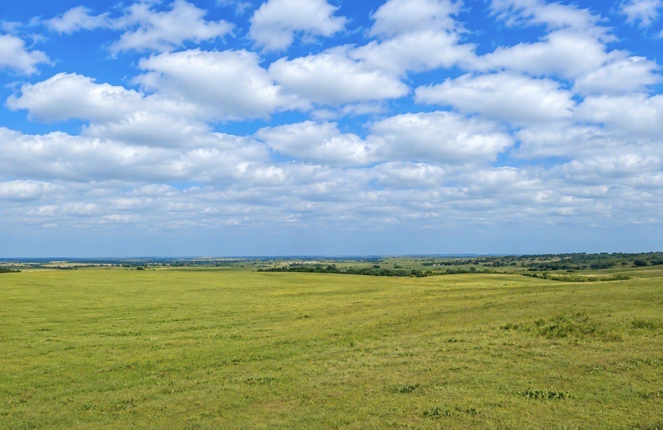 20.02 acres in Mills County gallery image 2