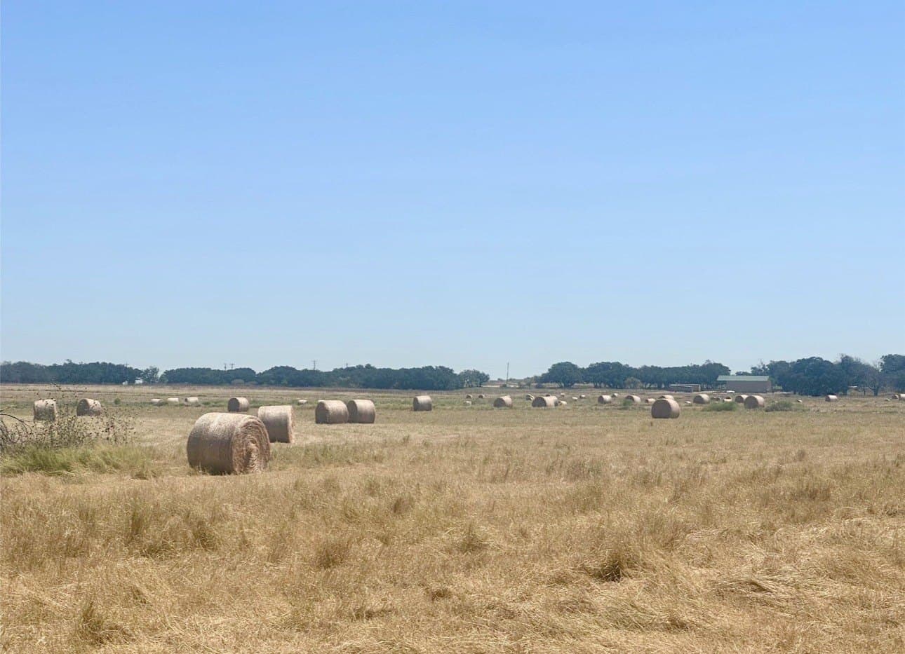 20.02 acres in Mills County gallery image 4