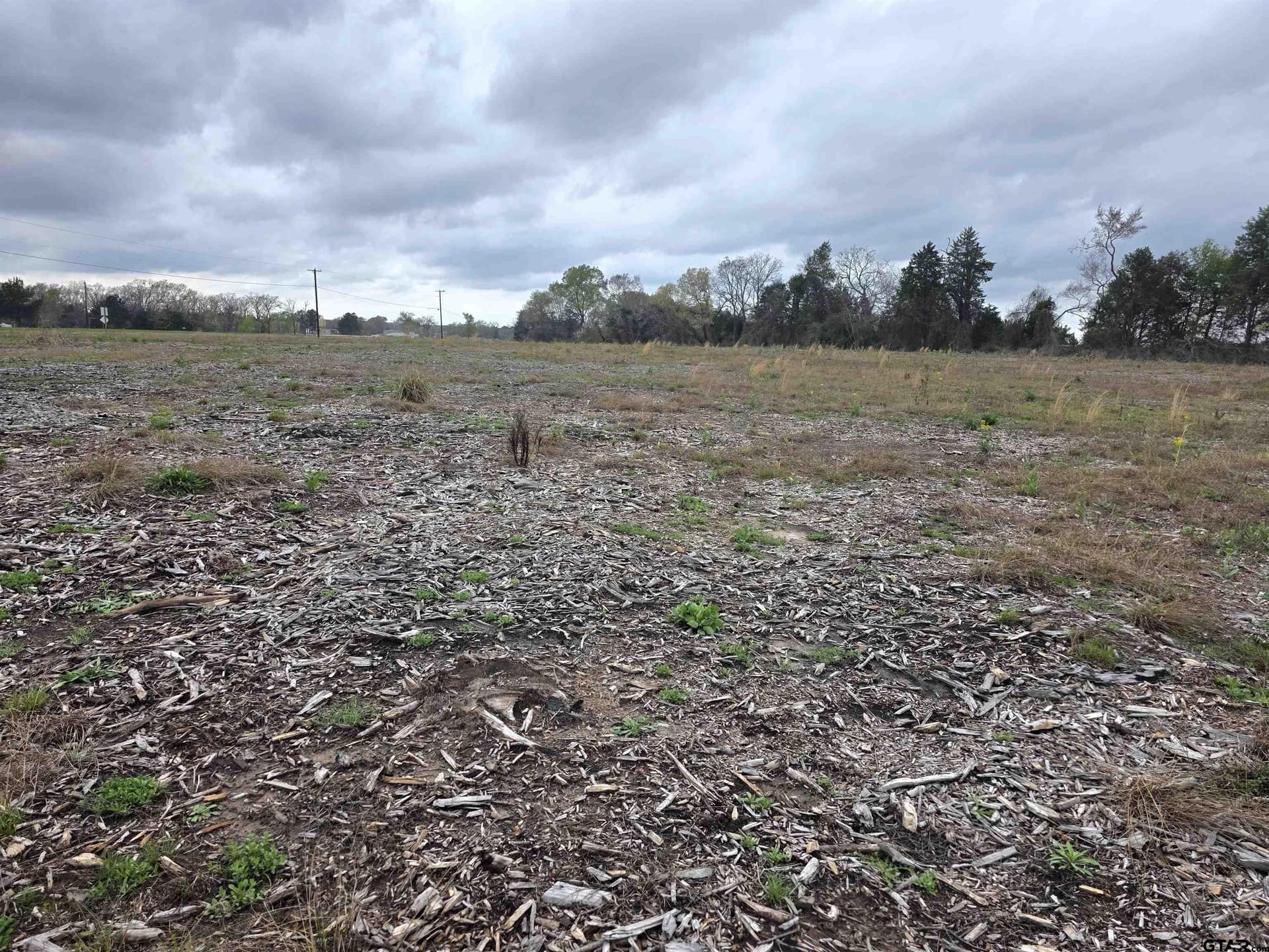 12.31 acres in Henderson County - photo 6