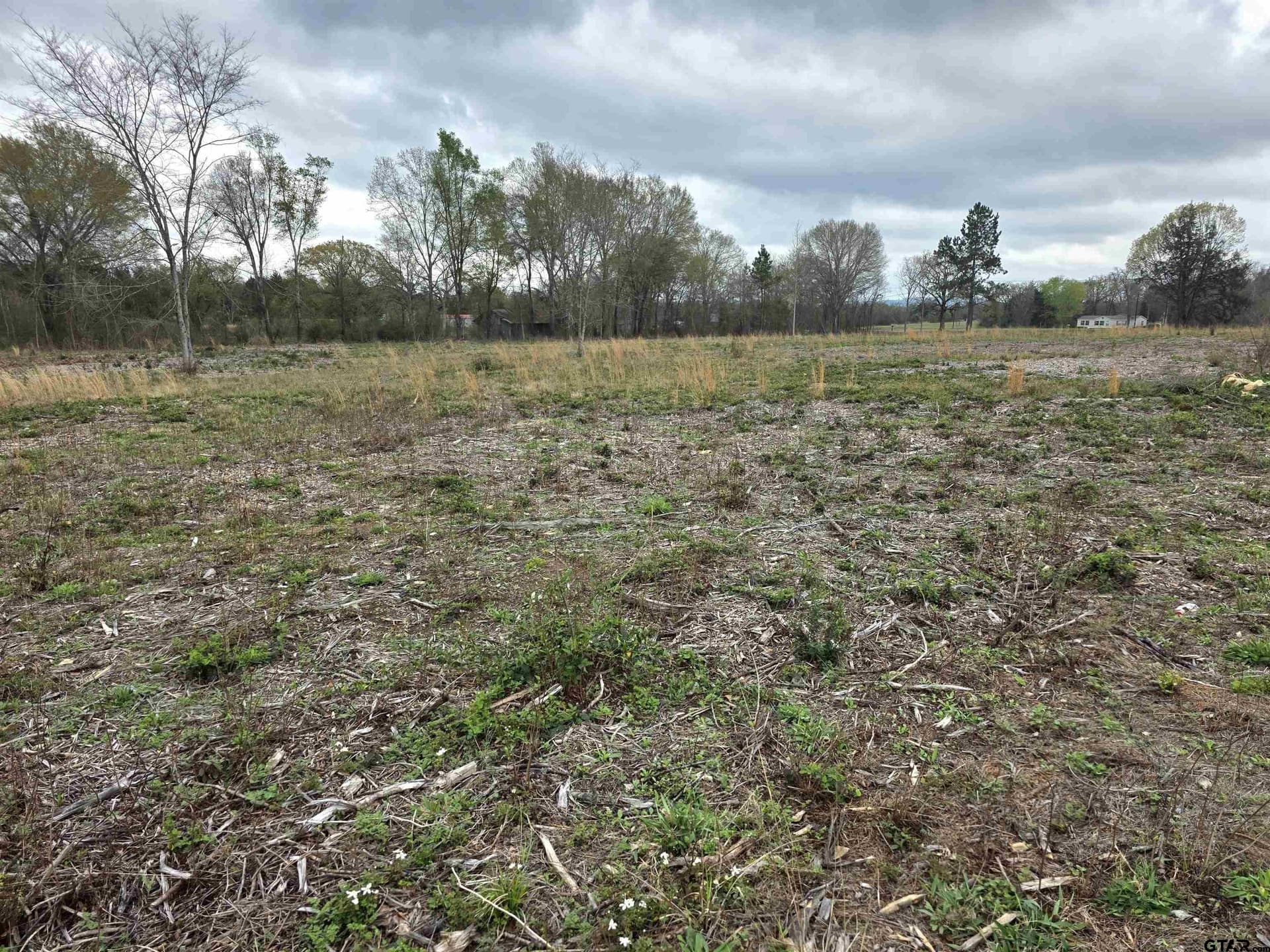 12.31 acres in Henderson County - photo 4